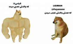 65423.png