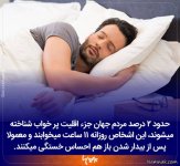 -های-جدید (7).jpg