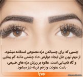-های-جدید (9).jpg