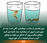 -های-جدید (11).jpg