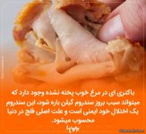 -های-جدید (13).jpg