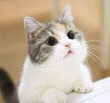 be1ebb61-9ddb-4c9e-8dee-6f5fcadf65aa.jpg