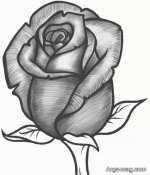 Drawing-6.jpg
