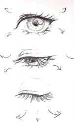 a555e7f3f488983dd9ae068bed8cbff1.jpg