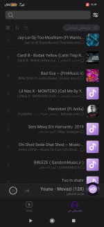 Screenshot_۲۰۲۲-۰۲-۲۰-۱۱-۱۶-۳۵-۱۵۷_com.miui.player.jpg