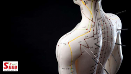 1645787620117.png 1645787620117.png