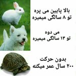 comic-funny2-1.jpg