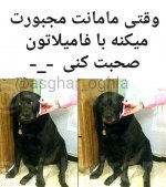 1588452221-parsnaz-com.jpg