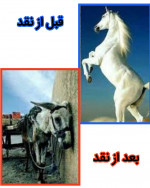 Negar_۲۰۲۲۰۳۰۴_۰۸۵۱۵۲.png