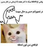 Negar_۲۰۲۲۰۳۰۹_۰۶۱۶۴۲.png