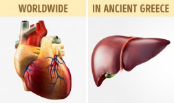 World-Facts-3.jpg