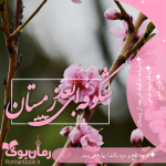 Negar_۲۰۲۲۰۳۱۲_۰۸۰۲۳۸.png