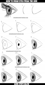 How to Draw Realistic Eyes from the Side Profile View - Step by Step Drawing Tutorial - How to...png