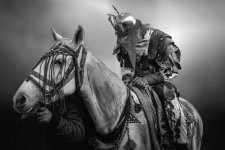 Representation on the horse to revive Karbala.jpg