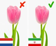 World-Facts-6.jpg