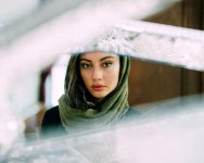 ترلان+پروانه (3).jpg