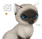 IMG_20210601_130843_628.jpg