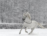aks-porofile-zemedtani-18.jpg
