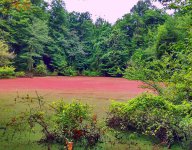 262397_418.jpg