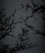 Dark-profile-picture-2.jpg