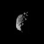 Dark-profile-picture-41.jpg