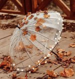 Autumn-photo-24.jpg