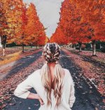 Story-Fall-9.jpg