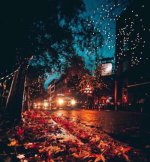 40-عکس-پروفایل-پاییزی-جدید-و-خاص-+-عکس-نوشته_-پاییزی-عاشقانه.jpg