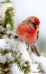 Profile-photos-for-winter-29.jpg