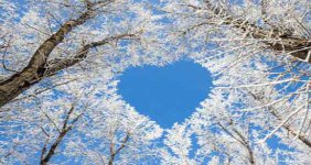 Winter-profile-photo-17.jpg