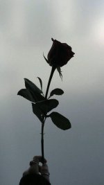 eab45ee9c4c22570c75fb04ce9d53a84.jpg