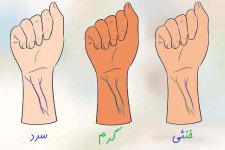 رنگ-رگ_های-دست-برای-تشخیص-تناژ-پوست.jpg