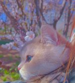 nody--1640445628.jpg