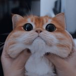 1080x1078_8XTuyhlu_2453352_1639660159692437563.jpeg