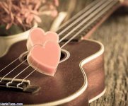 profile-gitar-14.jpg