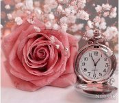 nody-عکس-پروفایل-طبیعت-1631260768.jpg