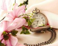 عکس-پروفایل-بهاری-1.jpg