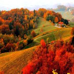 369342_656 (1).jpg