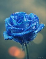 d473ea3e6ec96d0bdf8b9066b606e06a.jpg