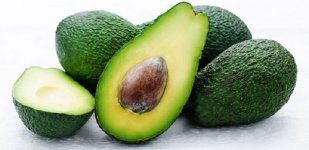 Avocado.jpg
