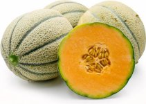 Cantaloupe.jpg