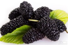 Blackberry.jpg