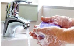 Screenshot_20220423_031711.jpg Screenshot_20220423_031711.jpg