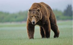 Screenshot_20220423_031737.jpg Screenshot_20220423_031737.jpg