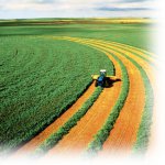 Agriculture(2).jpg