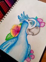 #drawing.jpg