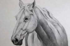 pencil-sketches.jpg