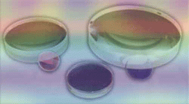 achromatic_lens.gif