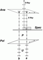 Polmicroscopy.gif