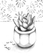 Succulent Sketch_ How to Draw with a Photo Reference.jpg